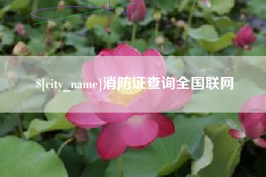 京山消防证查询全国联网