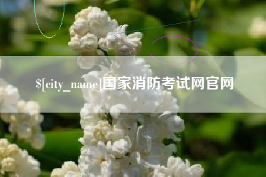 京山国家消防考试网官网