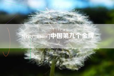 京山中国第九个金牌