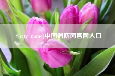 京山中国消防网官网入口