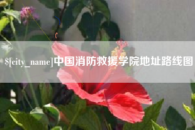 京山中国消防救援学院地址路线图