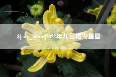 京山2022年九宫格飞星图