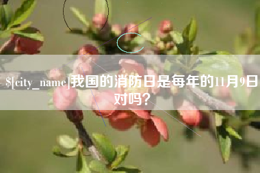 京山我国的消防日是每年的11月9日对吗？