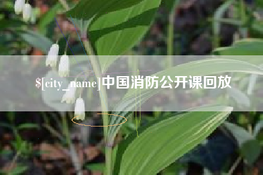 京山中国消防公开课回放