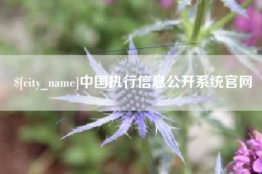 京山中国执行信息公开系统官网