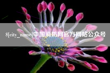 京山中国消防网官方网站公众号