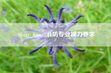 京山消防专业视力要求