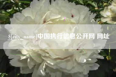 京山中国执行信息公开网 网址