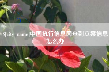 京山中国执行信息网查到立案信息怎么办