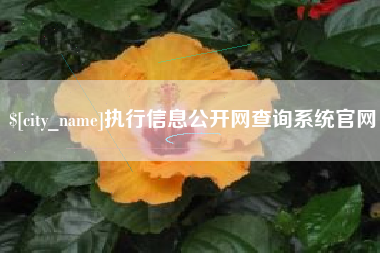 京山执行信息公开网查询系统官网