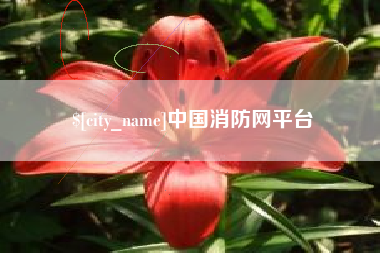 京山中国消防网平台