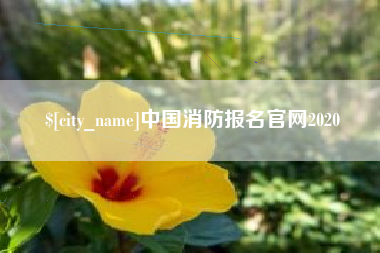 京山中国消防报名官网2020