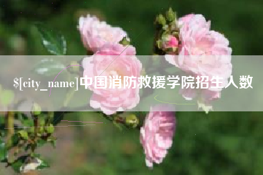 京山中国消防救援学院招生人数