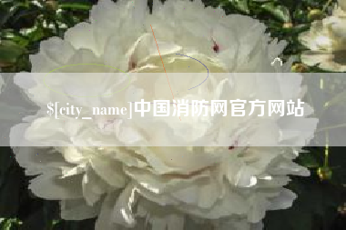 京山中国消防网官方网站