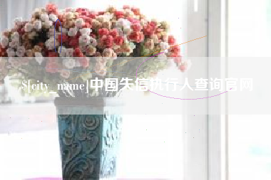 京山中国失信执行人查询官网