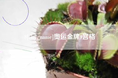 京山奥运金牌9宫格