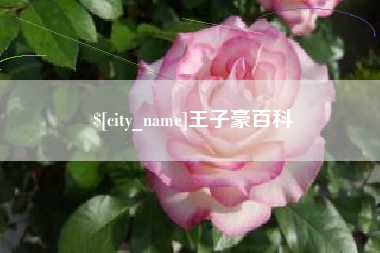 京山王子豪百科