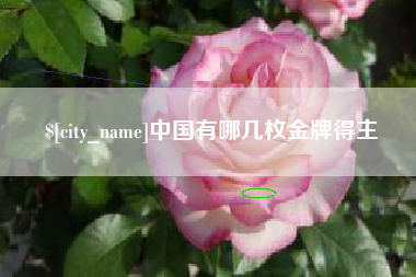 京山中国有哪几枚金牌得主