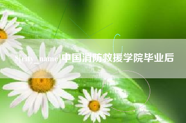 京山中国消防救援学院毕业后