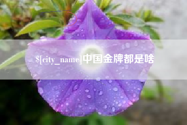 京山中国金牌都是啥