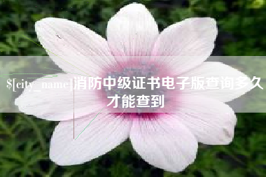 京山消防中级证书电子版查询多久才能查到