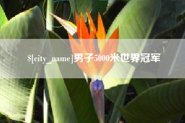 京山男子5000米世界冠军