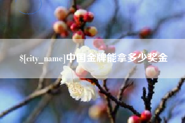 京山中国金牌能拿多少奖金