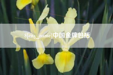 京山中国金牌包括
