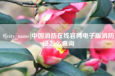 京山中国消防在线官网电子版消防证怎么查询