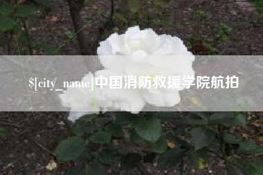 京山中国消防救援学院航拍