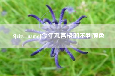 京山今年九宫格的不利颜色