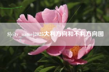 京山2025大利方向和不利方向图