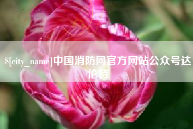 京山中国消防网官方网站公众号达伦特