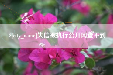 京山失信被执行公开网查不到