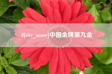 京山中国金牌第九金