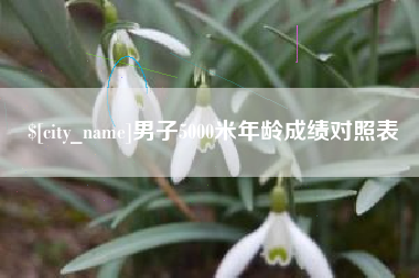 京山男子5000米年龄成绩对照表