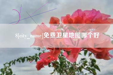 京山免费卫星地图哪个好