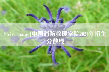 京山中国消防救援学院2024年招生分数线