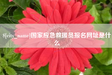 京山国家应急救援员报名网址是什么
