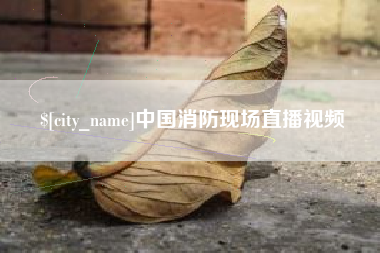 京山中国消防现场直播视频