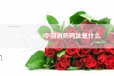 京山中国消防网址是什么