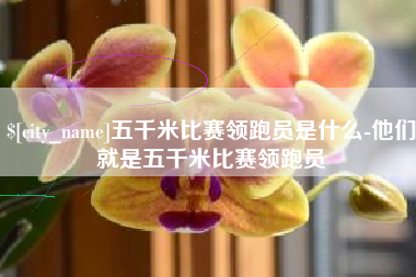 京山五千米比赛领跑员是什么-他们就是五千米比赛领跑员
