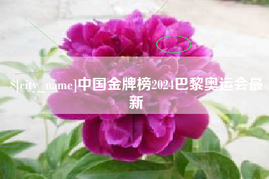 京山中国金牌榜2024巴黎奥运会最新