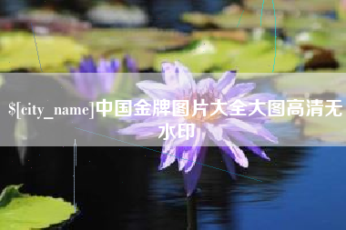 京山中国金牌图片大全大图高清无水印