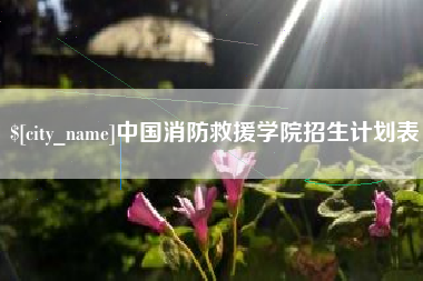 京山中国消防救援学院招生计划表