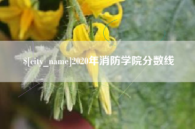 京山2020年消防学院分数线