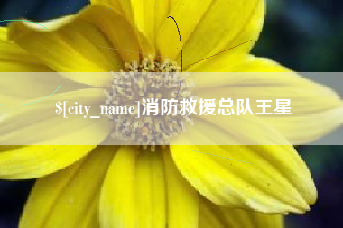 京山消防救援总队王星