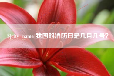 京山我国的消防日是几月几号？