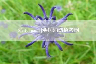 京山全国消防招考网