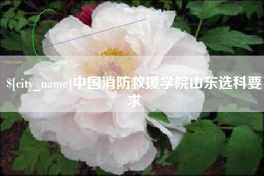 京山中国消防救援学院山东选科要求